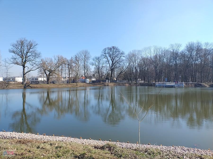 Staw w Ołtarzewie