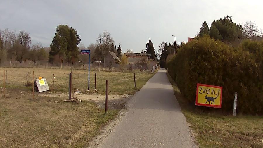 Czarny kot każe zwolnić