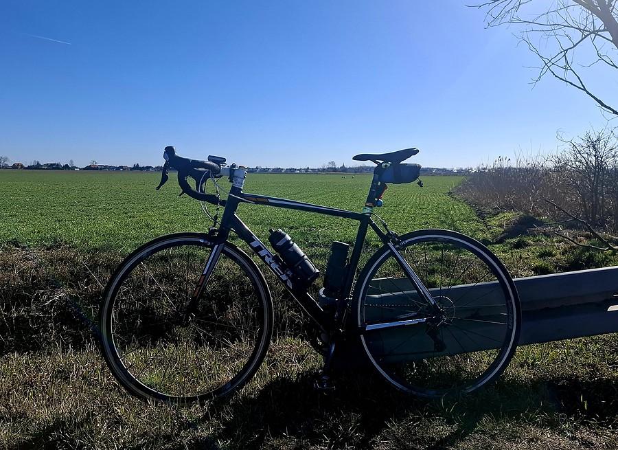 Rowerówka z żurawiami w tle