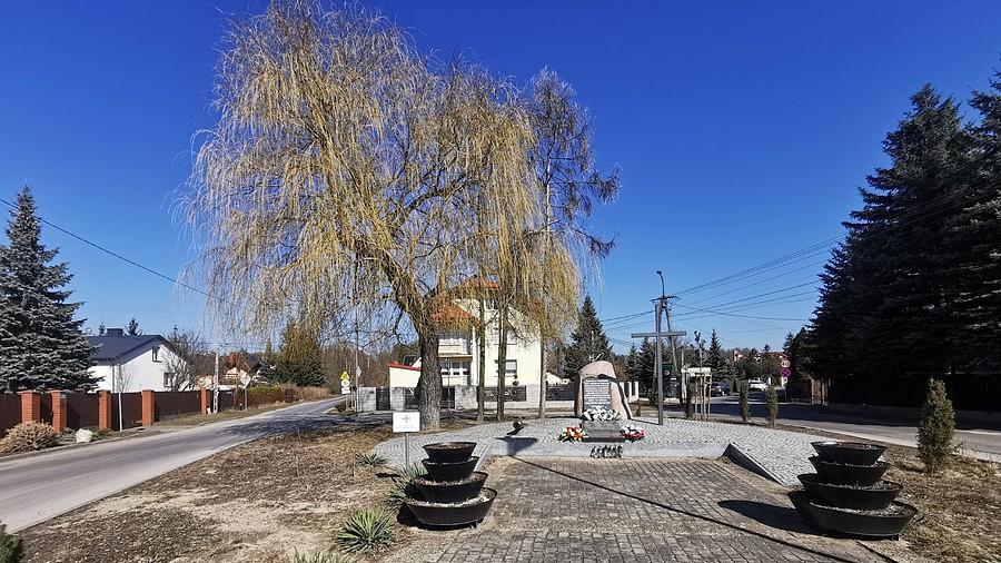 Pomnik w Truskawiu - plan ogólny