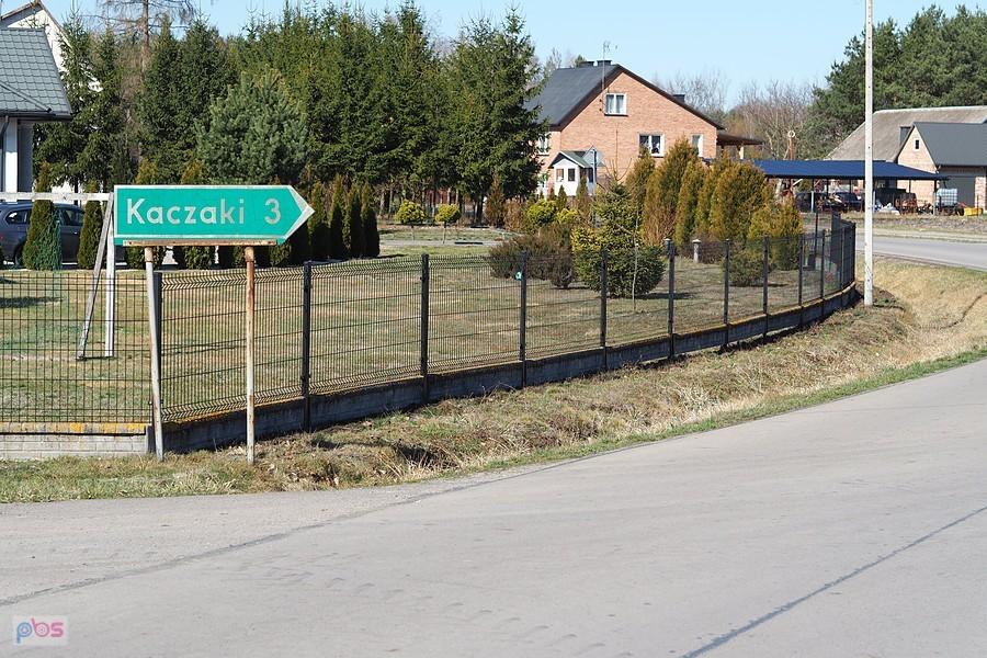 Kaczki? nie, Kaczaki