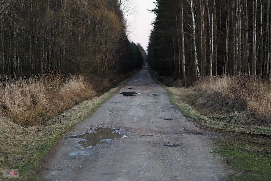 dłuuga droga leśna