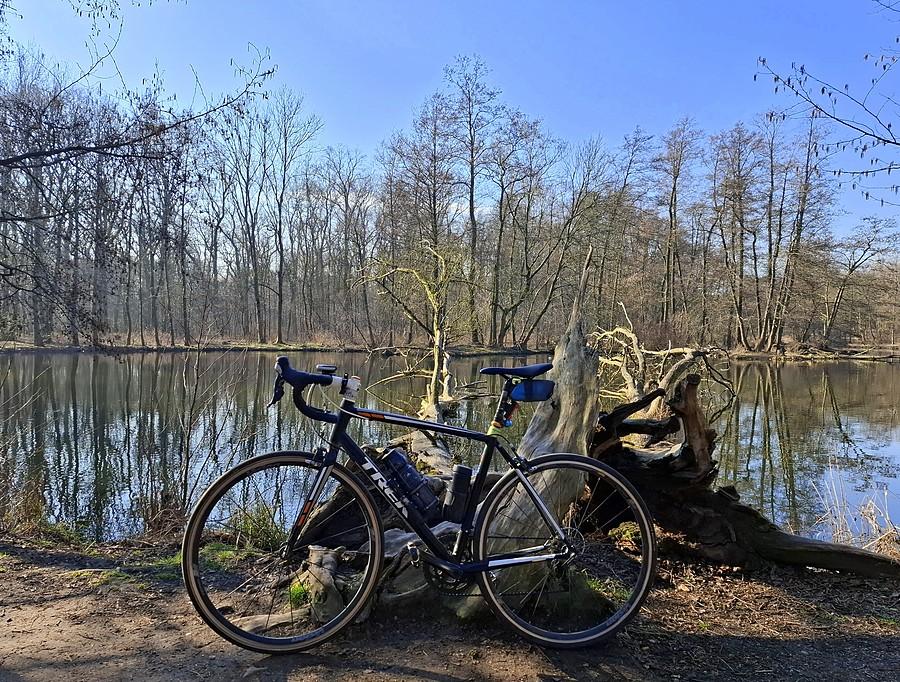 Dębinowa rowerówka