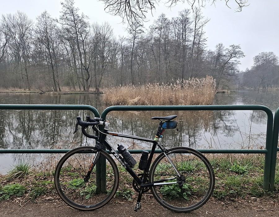 Szaro na Dębinie