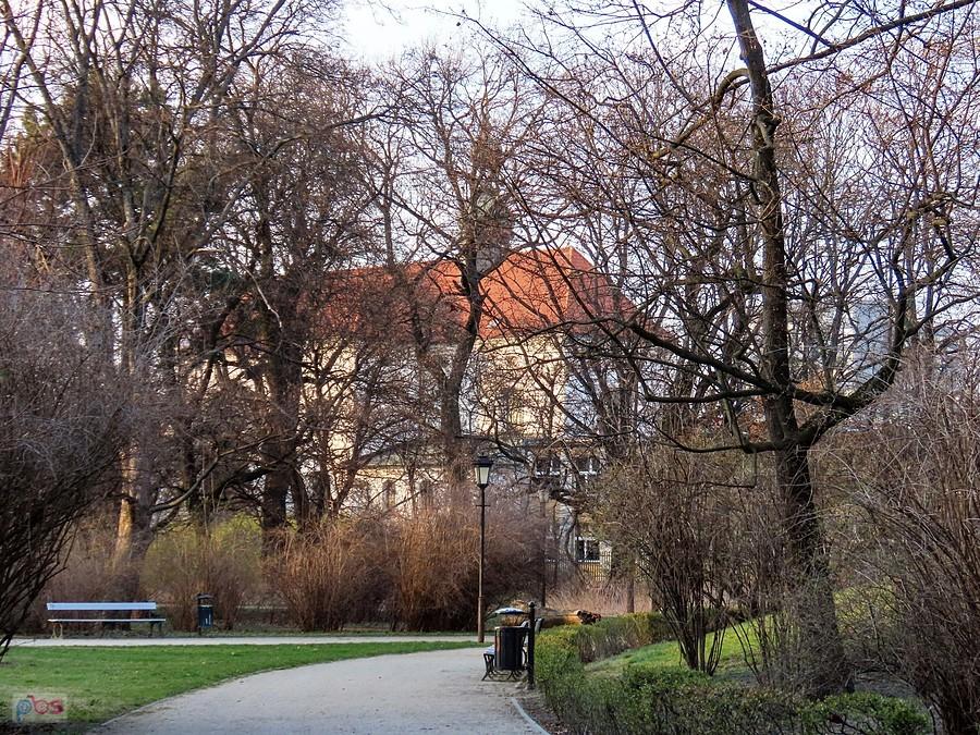 Za drzewami kościół Franciszkanów