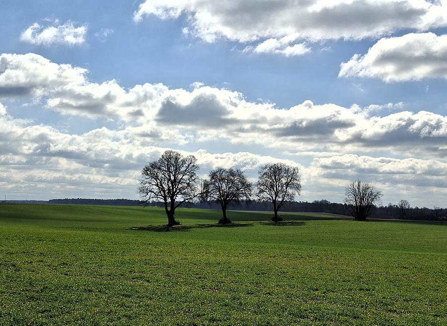Ładnie w Lisówkach