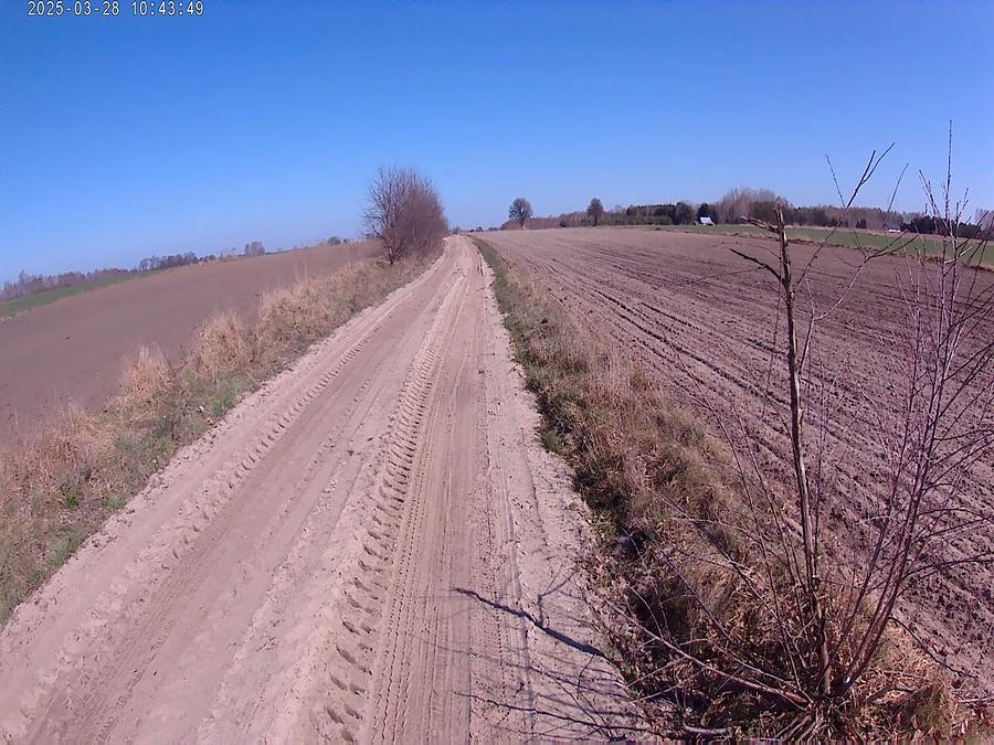 Droga polna