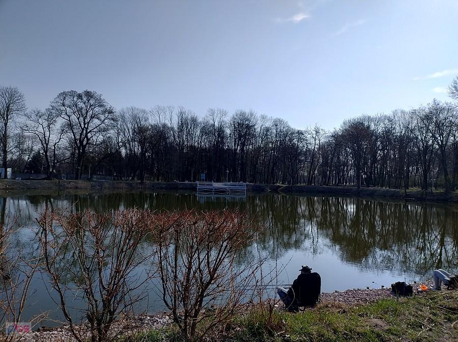 Staw w Ołtarzewie