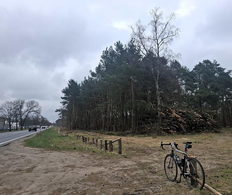 Był las, będzie DDR :(