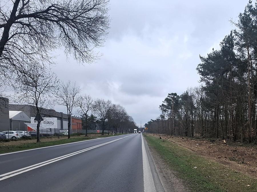 Wzdłuż wycinki
