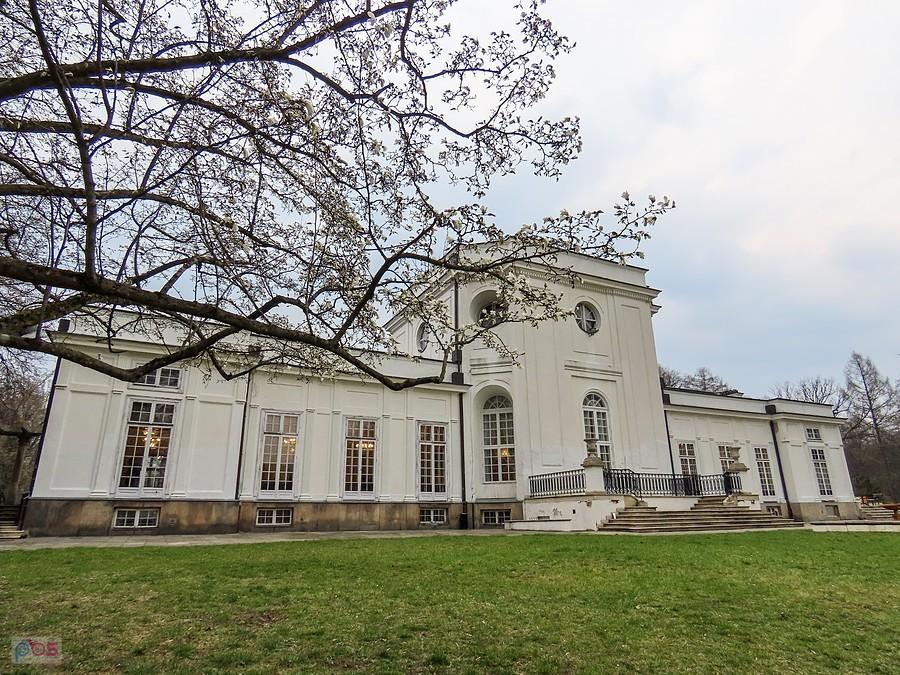 Magnolia i pałac