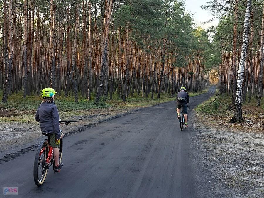 Leśna droga do Śladkowic
