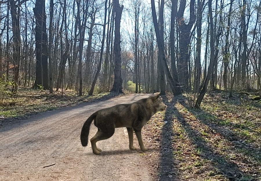 Taka niespodzianka na Dębinie :))))))