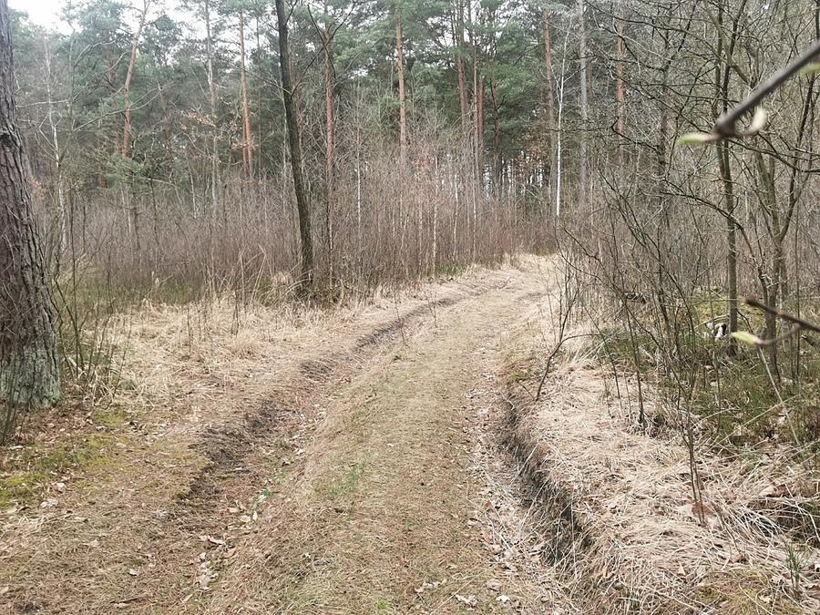 To jedna z lepszych drógWyłupiastość katarzyna Grządziela
