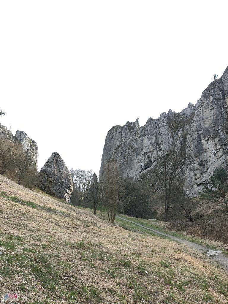 Wąwóz Bolechowicki