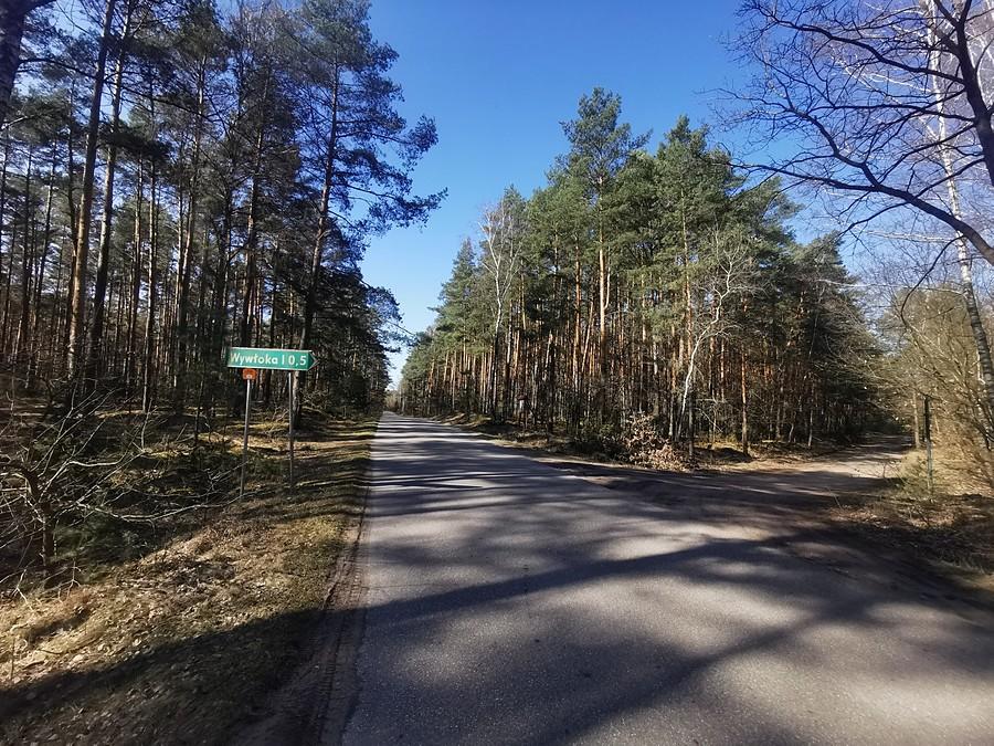Ty Wywłoko!