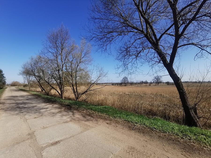 Łęgi nadburzańskie