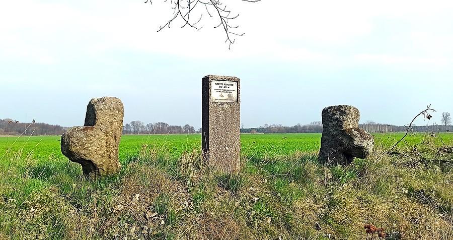 Krzyże pokutne w okolicy Dziesławia