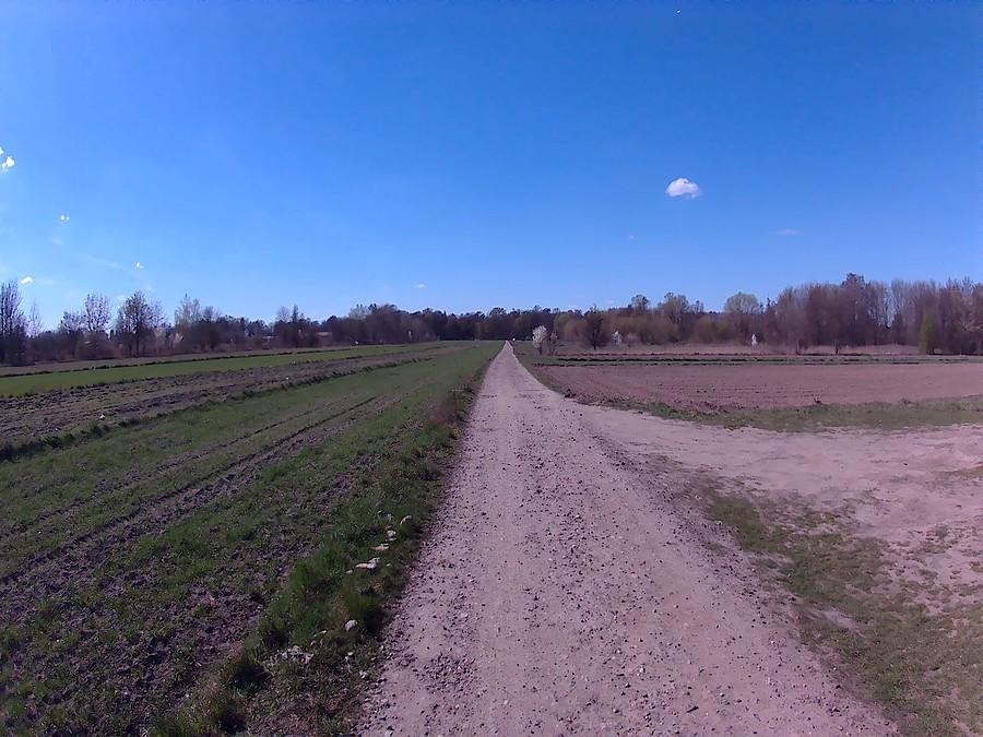 Polna droga w Pęcicach