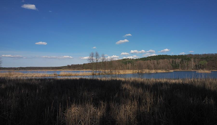 Stawy Ośniańskie