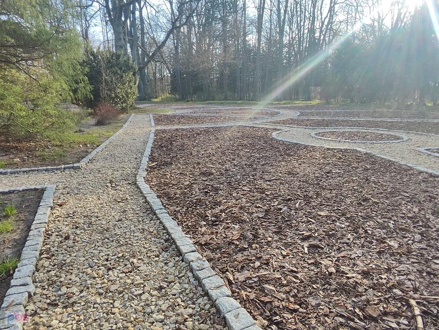 w ogrodzie botanicznym coś się dzieje