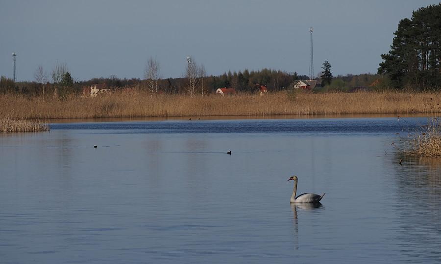 Stawy Ośniańskie