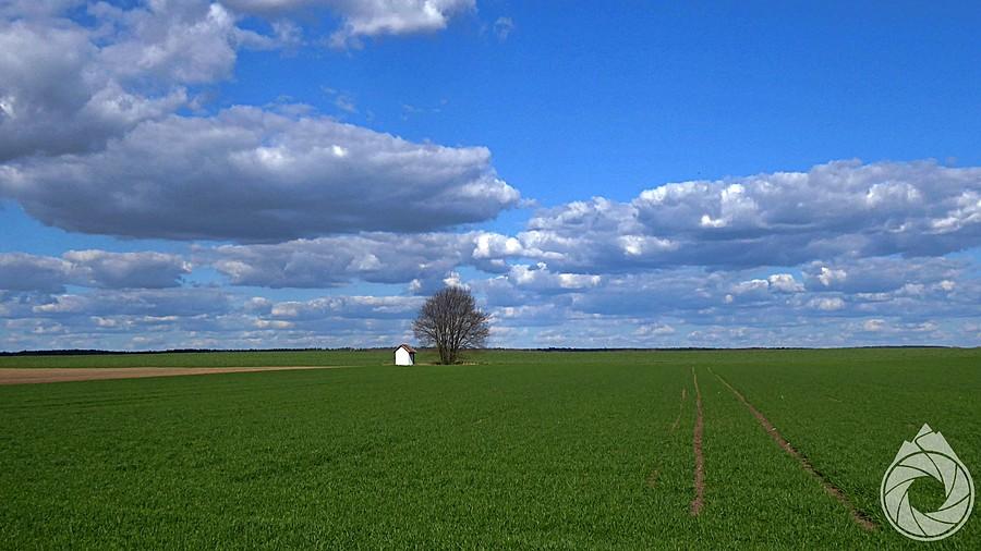 samotna kapliczka wśrod pól