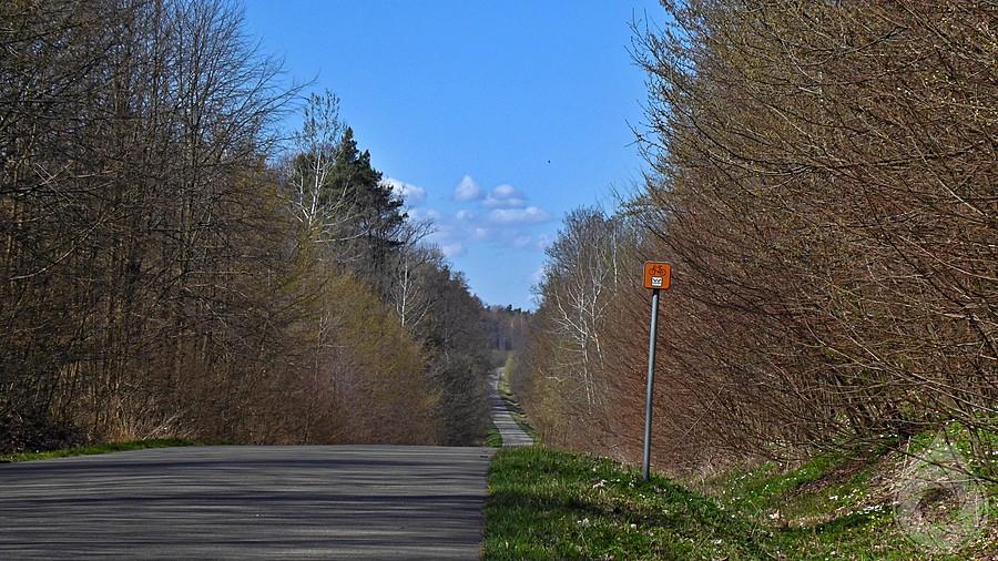 GV przez lasy za Krowicą