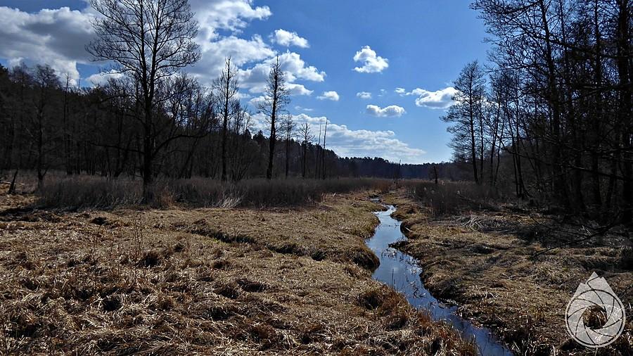 potok w stronę granicy UA