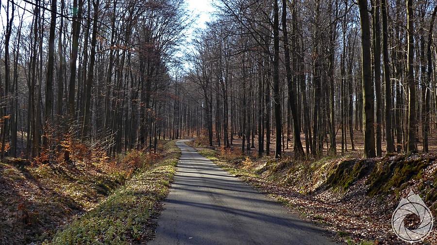 poranna droga na gorkę nad Siedliskami
