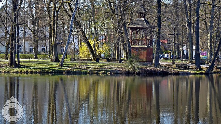 staw w Zwierzyńcu