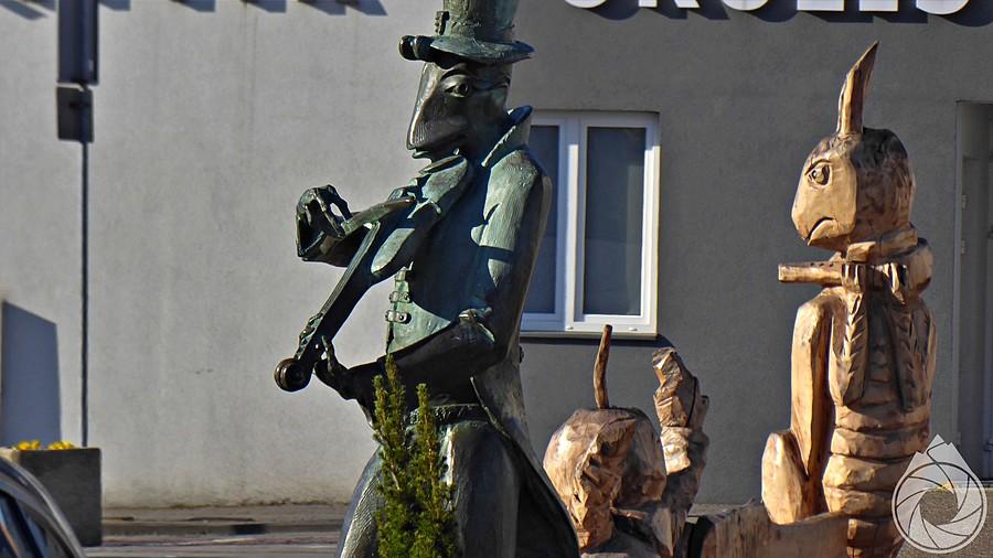 chrząszcz dalej rzępoli na rynku szczebrzeszyńskim