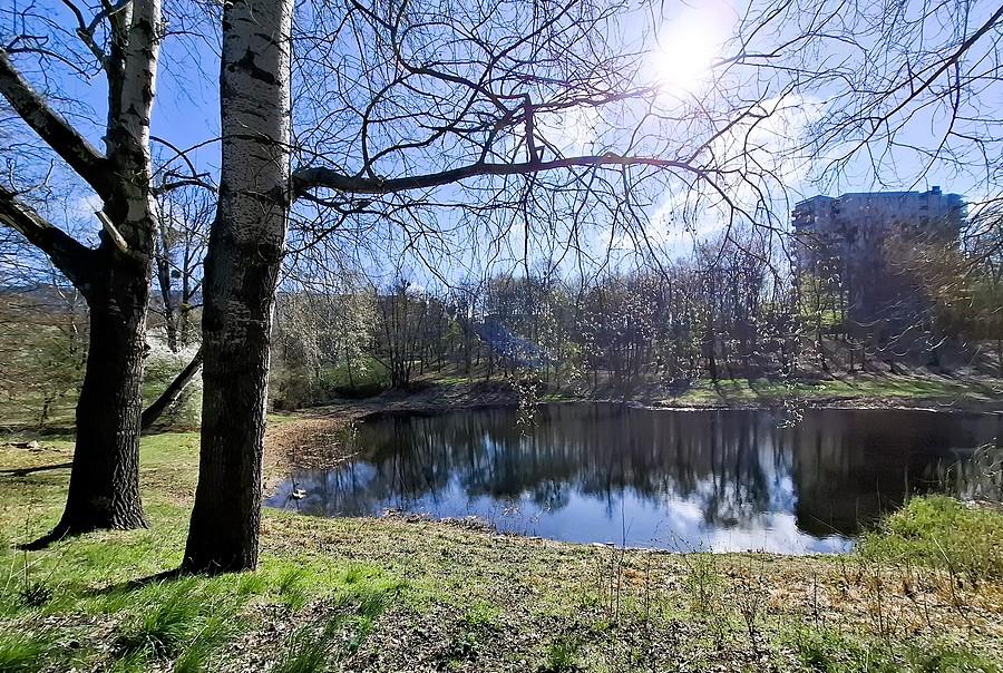 Park nad Wartą