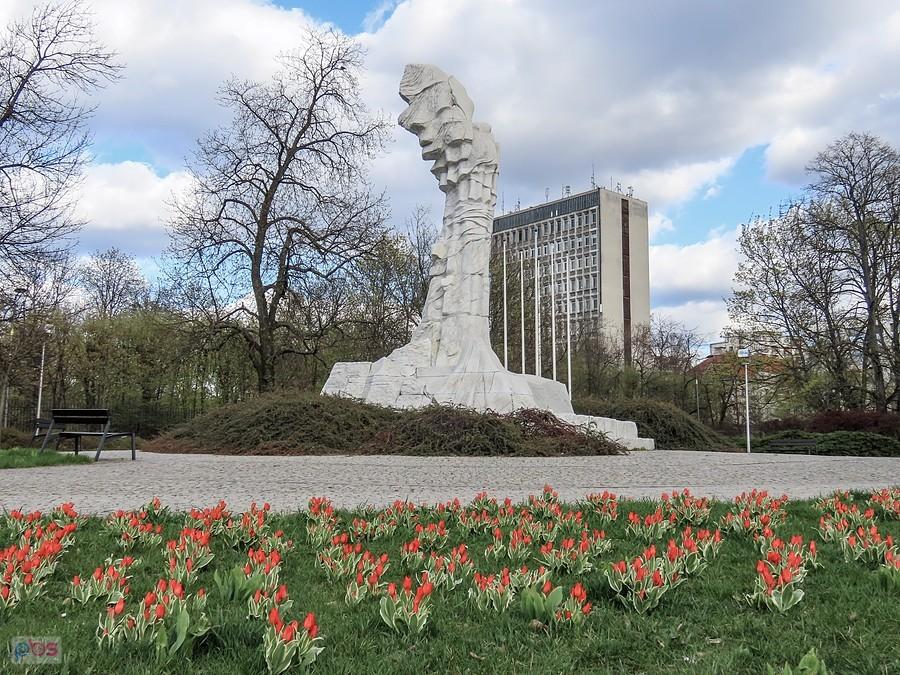 Czerwone tulipany pod pomnikiem Bitwy o Monte Cassino