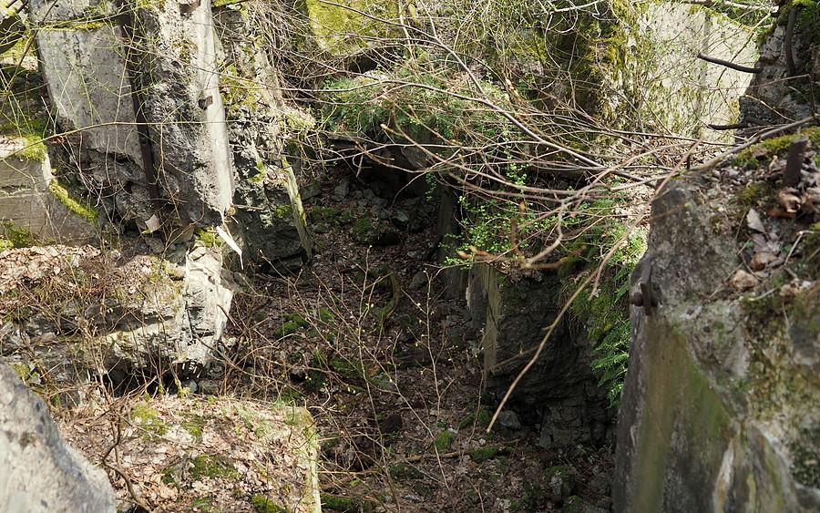 Wnętrze Pz.W.811