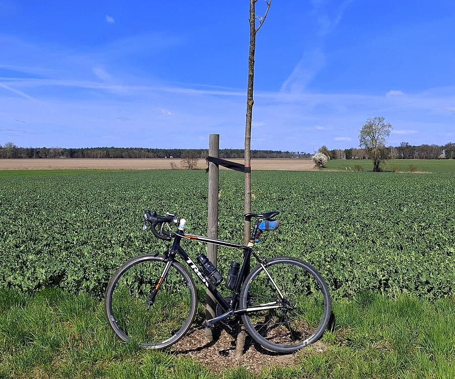 Błękitna rowerówka