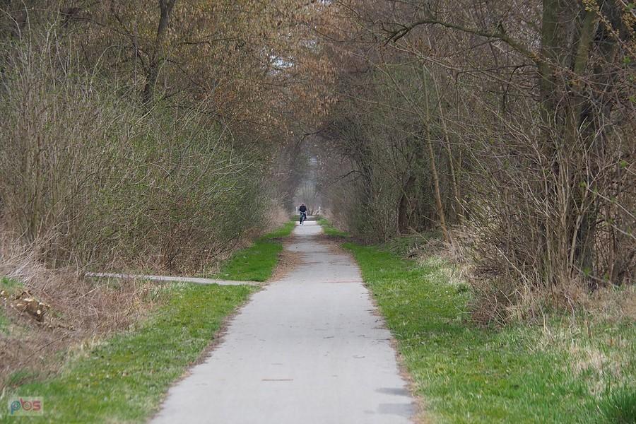 ścieżka rowerowa za Kazimierzą Wielką