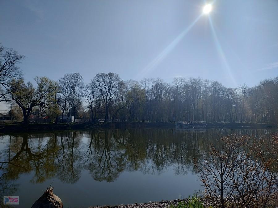 Staw w Ołtarzewie