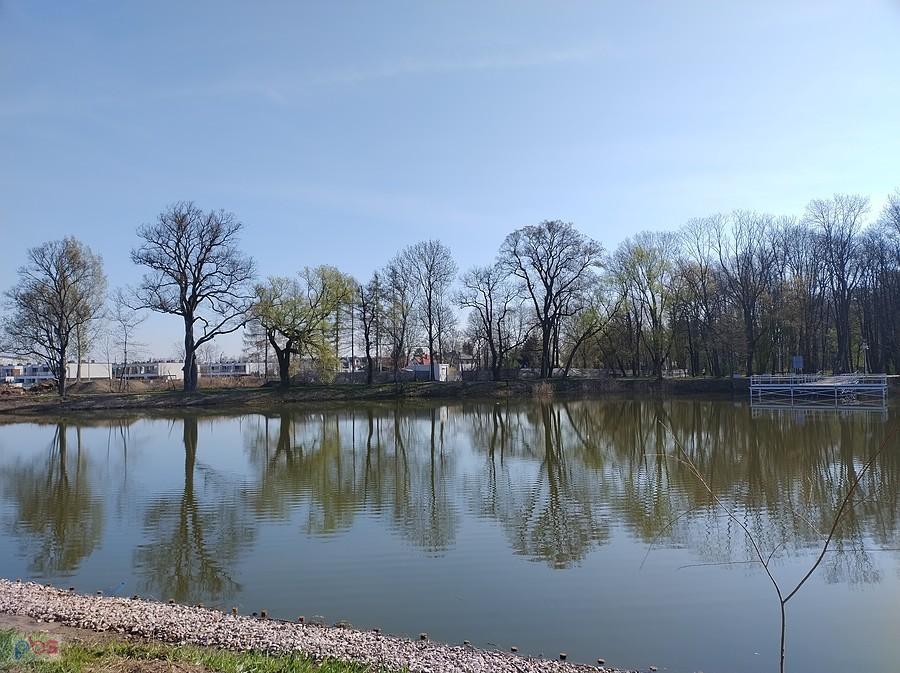 Staw w Ołtarzewie