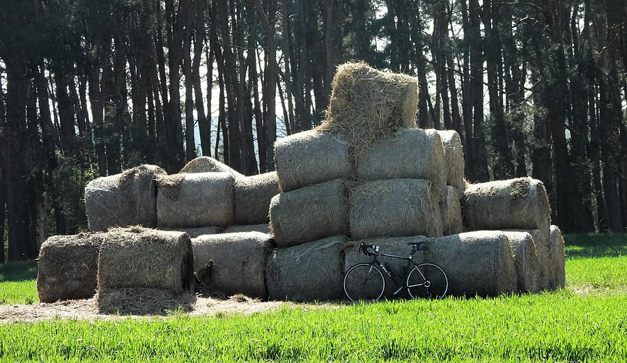 Klasyczna ostatnio rowerówka