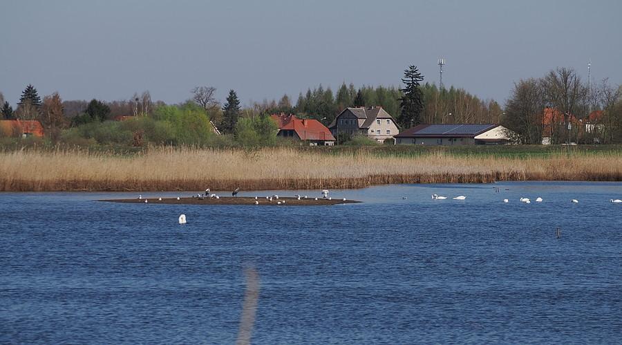 Staw Ośniański i widoczne Ośno Lubuskie