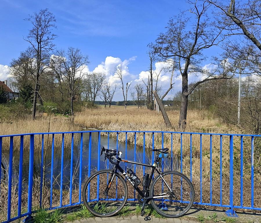 Rowerówka z Trzcielina