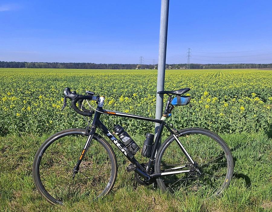 Rzepakowa rowerówka