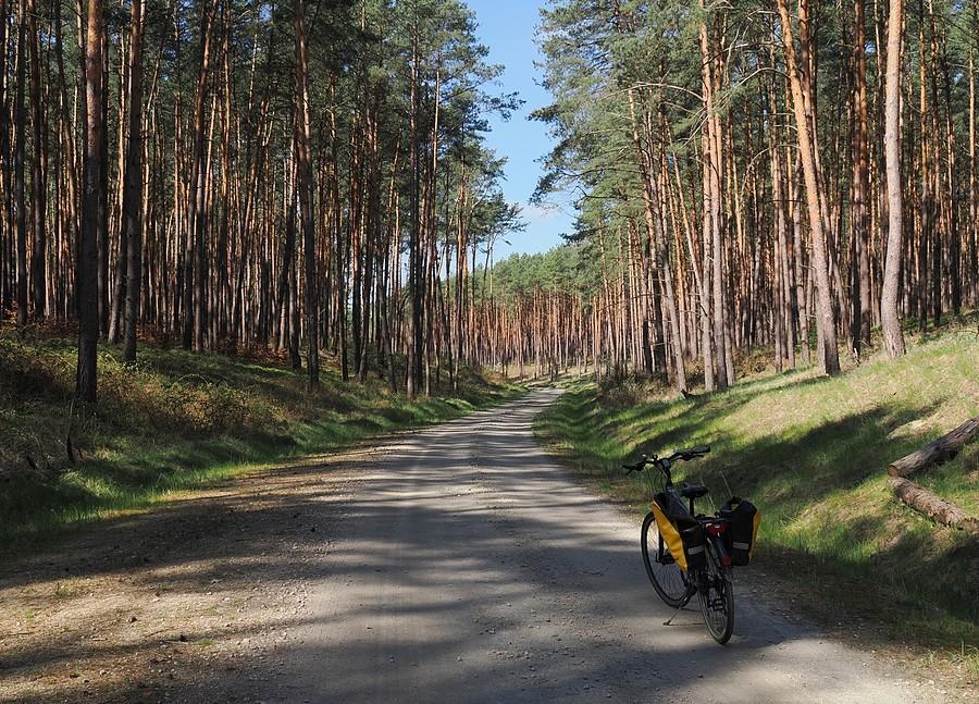 Szutrówka w okolice Prochowca