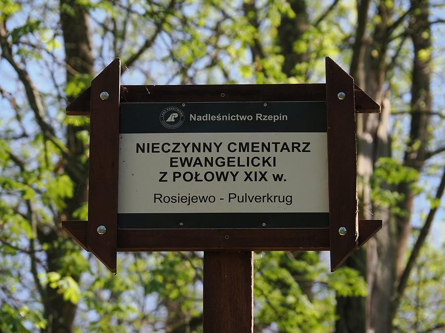 Nieczynny cmentarz ewangelicki w Rosiejewie - Prochowcu