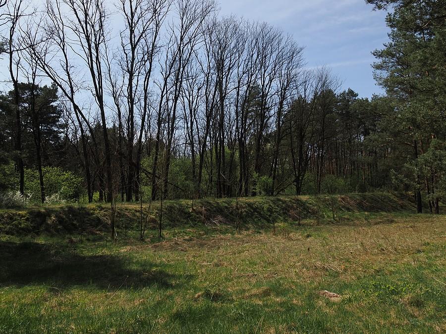 Widoczny nasyp nieistniejącej linii kolejowej nr 386 (Cybinka - Kunowice)