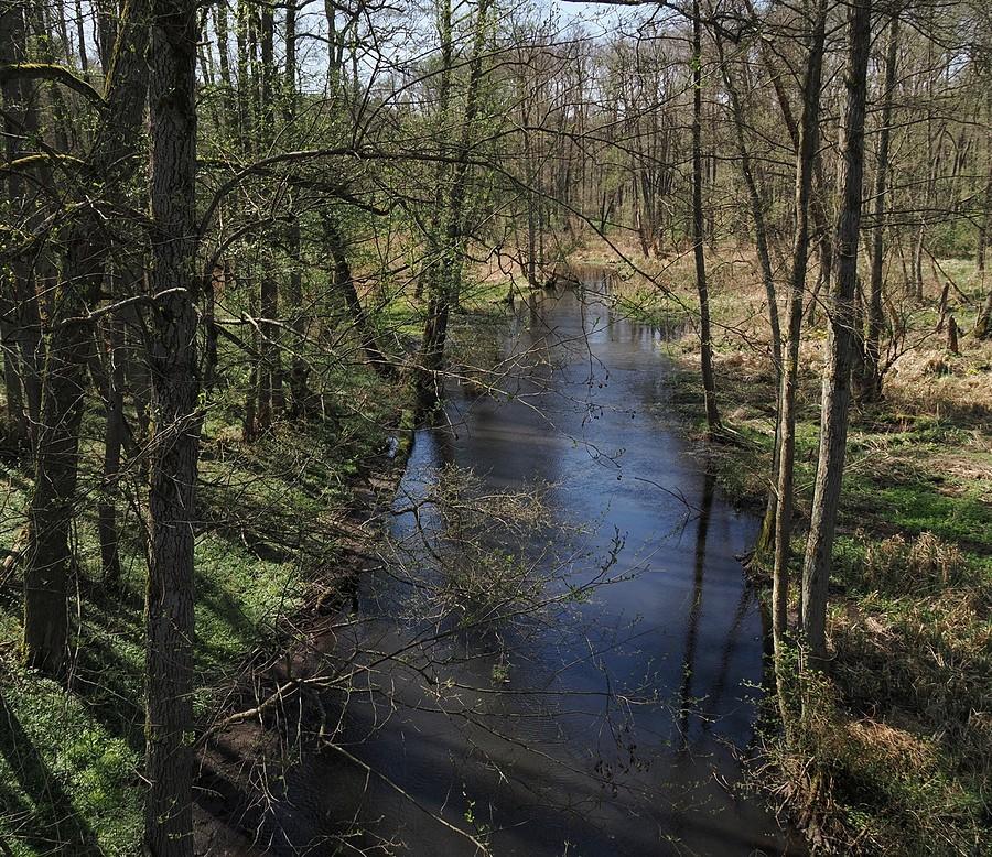 Widok z mostu kolejowego nieistniejącej linii kolejowej nr.386 na Ilankę.