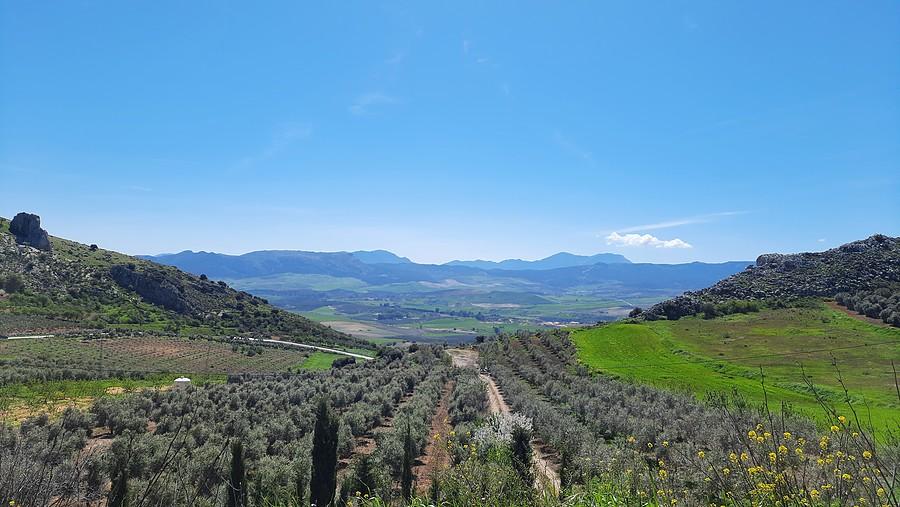 Góry Sierra de Zafalgar, Hiszpania.