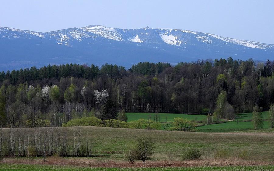 Widok na Karkonosze
