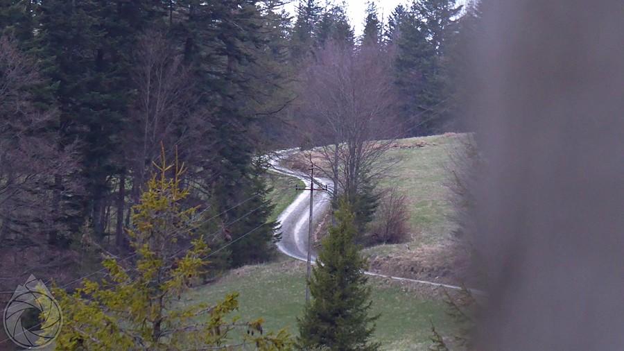 droga gdzieś nad Korbielów